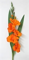 Gladiole 83cm orange