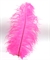 Straussenfeder 30cm pink