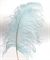 Straussenfeder 30cm hellblau