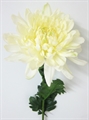 Chrysantheme 16cmD 65cmH gold